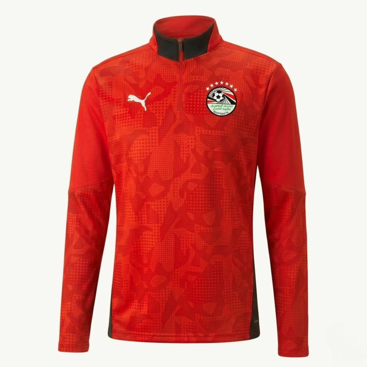 Egypt national football team training