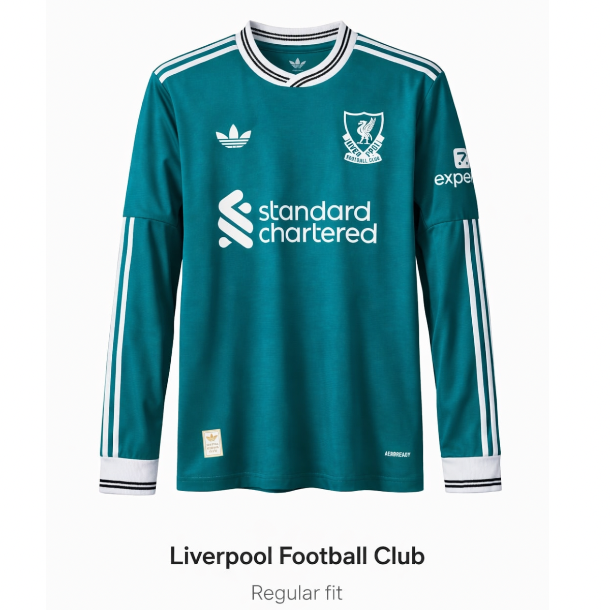 Liverpool Third Jersey 2025/26 - Premium Version ( Long Sleeve )