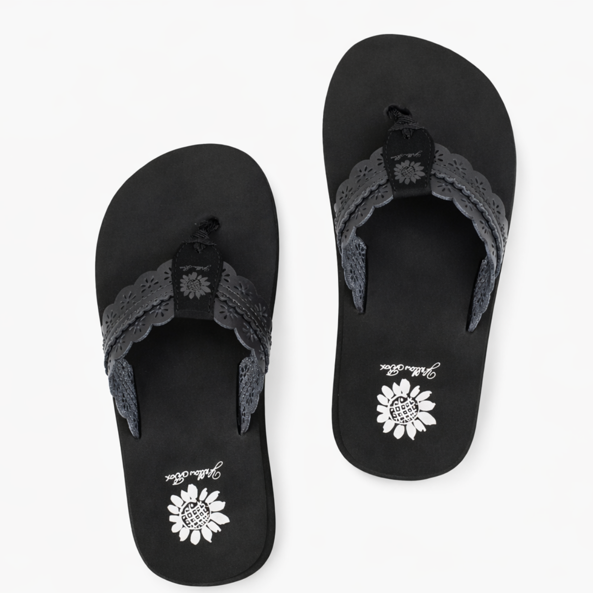 Yellow Box Wally or Fascell flip-flop